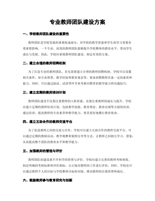 专业教师团队建设方案