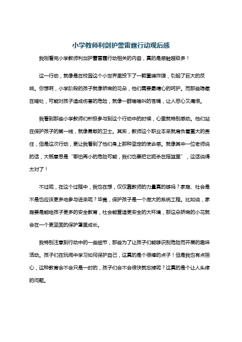 小学教师利剑护蕾雷霆行动观后感