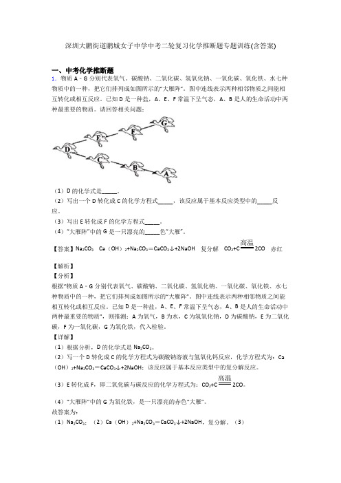 深圳大鹏街道鹏城女子中学中考二轮复习化学推断题专题训练(含答案)