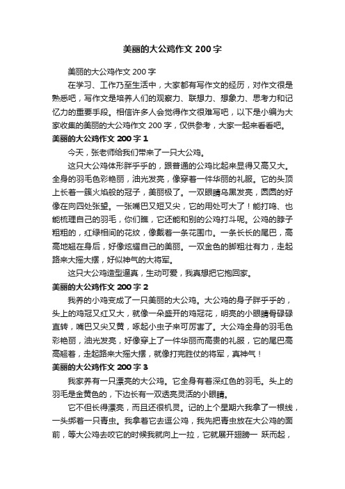 美丽的大公鸡作文200字