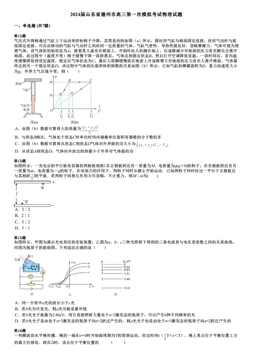 2024届山东省德州市高三第一次模拟考试物理试题