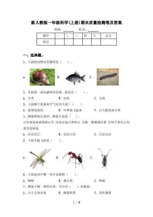 新人教版一年级科学(上册)期末质量检测卷及答案