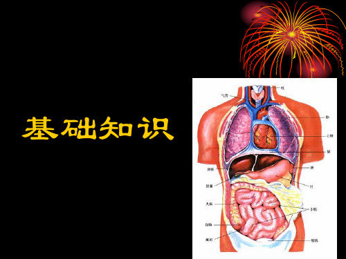 《人体解剖学基础》PPT课件