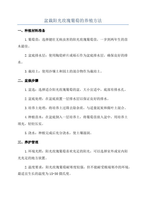 盆栽阳光玫瑰葡萄的养殖方法