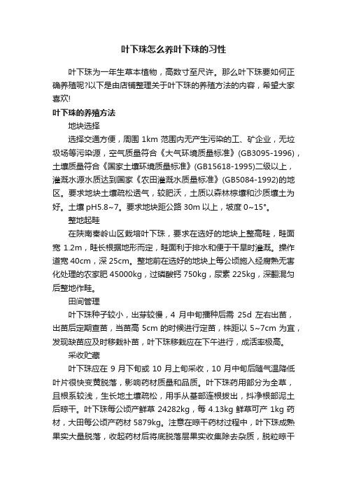 叶下珠怎么养叶下珠的习性