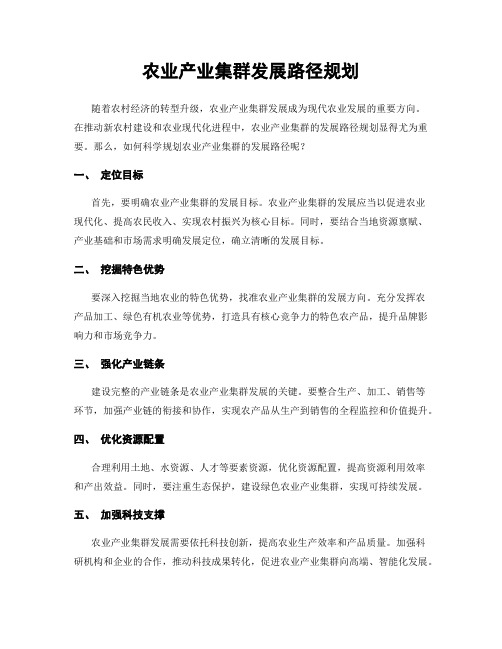 农业产业集群发展路径规划