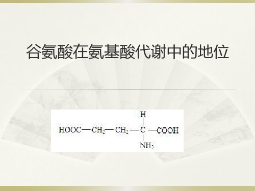 谷氨酸在氨基酸代谢中的地位