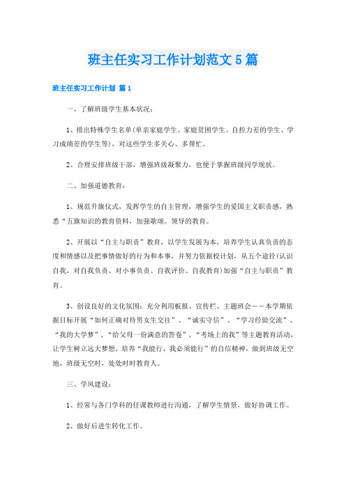 班主任实习工作计划范文5篇