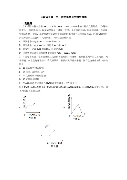 云南省玉溪一中  初中化学自主招生试卷