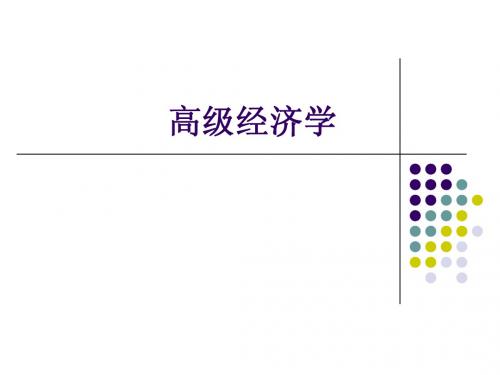 高级经济学课件