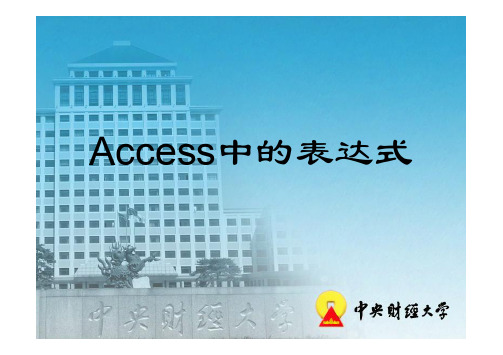 Access中的表达式