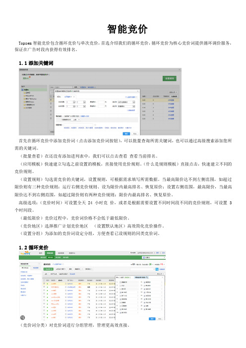 百度推广工具智能竞价topsem简介