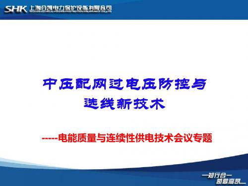 中压配电网过电压防控及选线新技术-李俭华