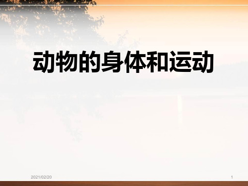 小学三年级上册科学 《动物的身体和运动》动物的生活优质课件PPT