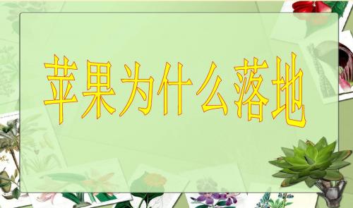 四年级下册《苹果为什么落地》