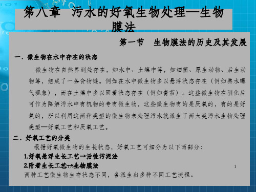 水污染控制工程 第八章 生物膜法