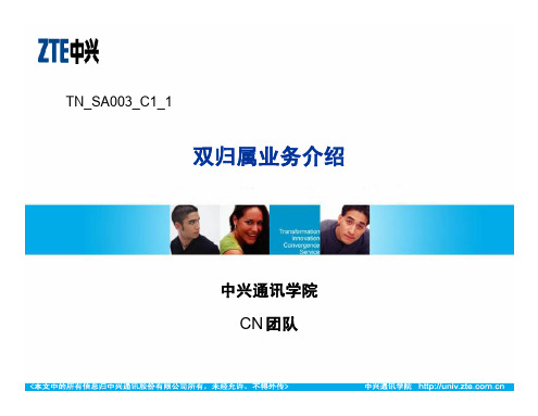 14_TN_SA003_C1_1 双归属介绍和配置