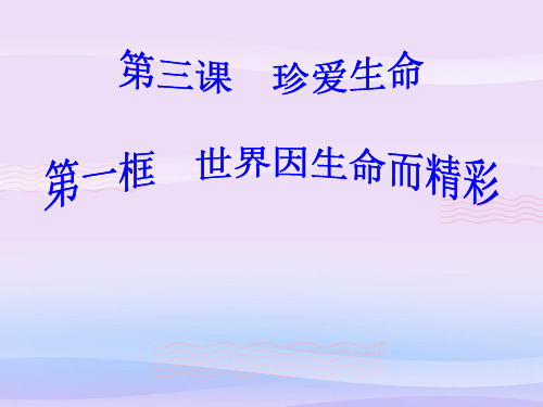 世界因生命而精彩ppt优秀课件19 人教版PPT课件