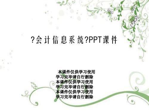 《会计信息系统》PPT课件