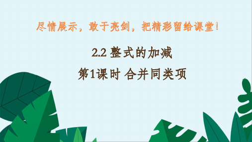 2.2+整式的加减++第1课时+合并同类项课件+2023-2024学年人教版七年级数学上册