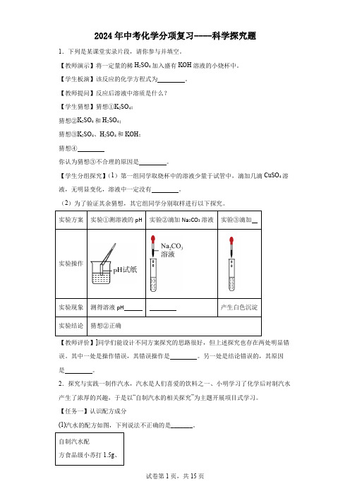 2024年中考化学分项复习----科学探究题