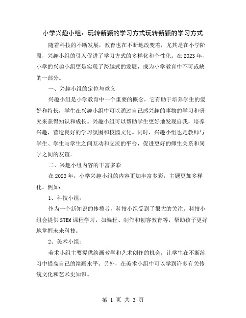 小学兴趣小组：玩转新颖的学习方式