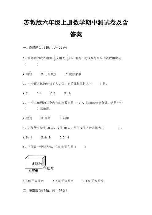 苏教版六年级上册数学期中测试卷及含答案