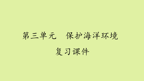 鲁教版高中地理选修2海洋地理：第三单元  保护海洋环境 复习课件