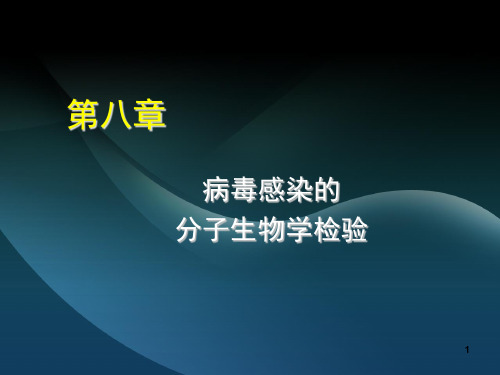 8病毒感染的分子生物学检验