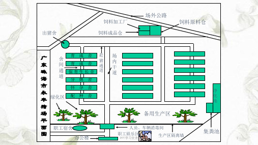 大型规模化猪场平面示意图集