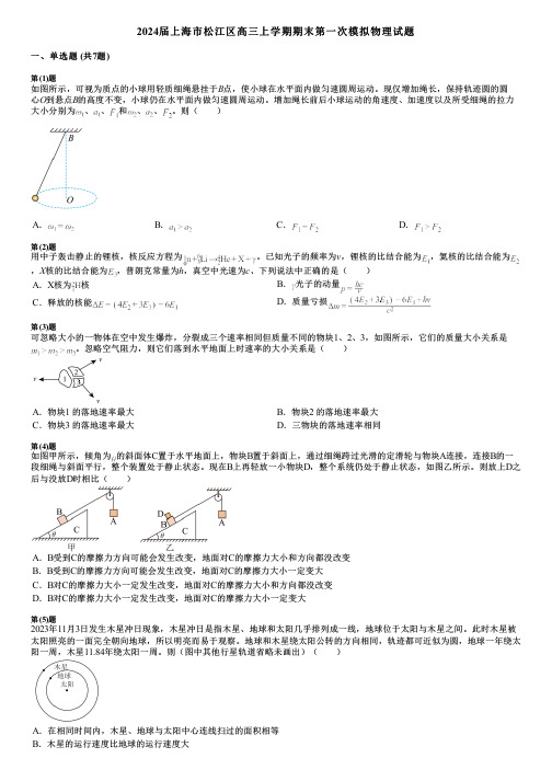 2024届上海市松江区高三上学期期末第一次模拟物理试题