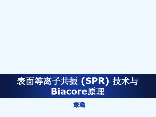 表面等离子共振SPR技术与Biacore原理