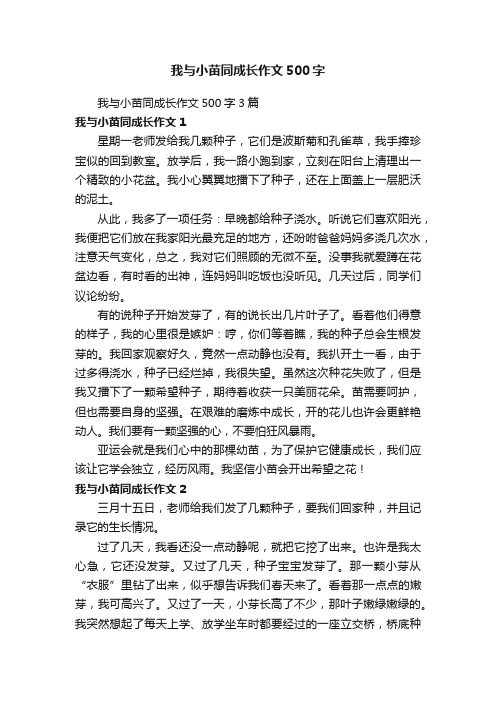 我与小苗同成长作文500字3篇