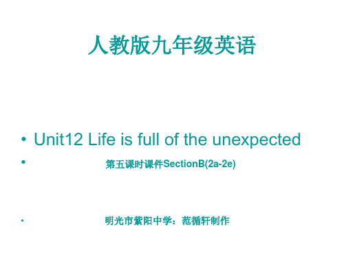 人教版九年级英语Unit12 Life is full of the unexpected_第五课时课件SectionB(2a-2e)课件