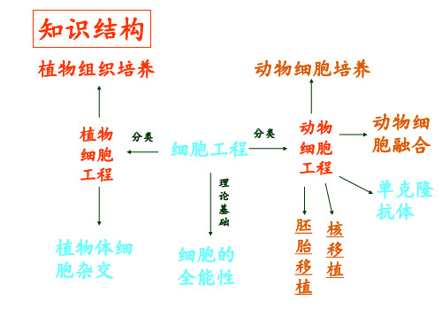 《细胞工程复习课》PPT课件