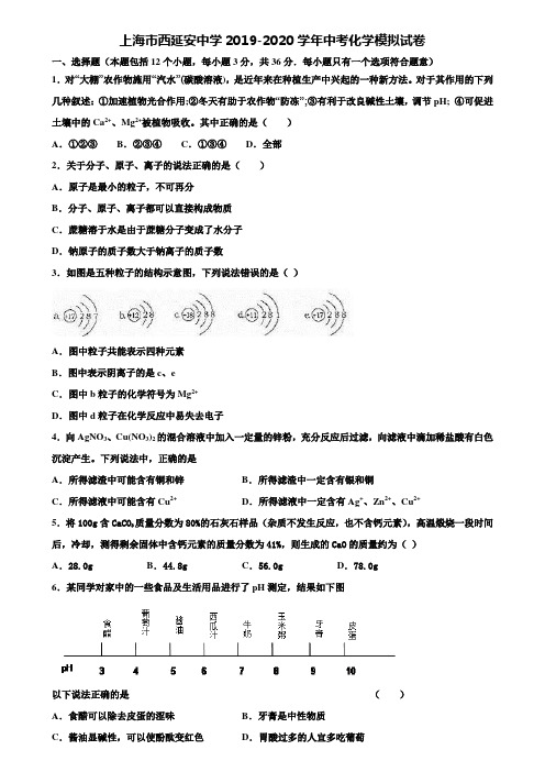 【附20套中考模拟试卷】上海市西延安中学2019-2020学年中考化学模拟试卷含解析