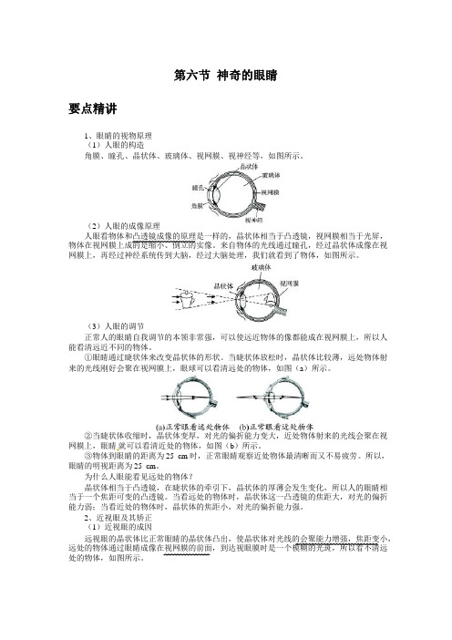 初中物理备课参考 神奇的眼睛 (2)