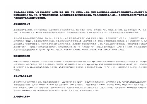 血脂代谢的基础与临床