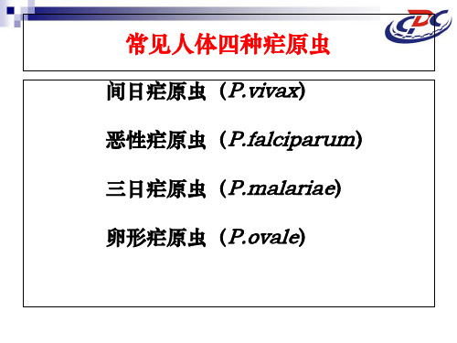 疟原虫镜检技术(2012)_PPT课件