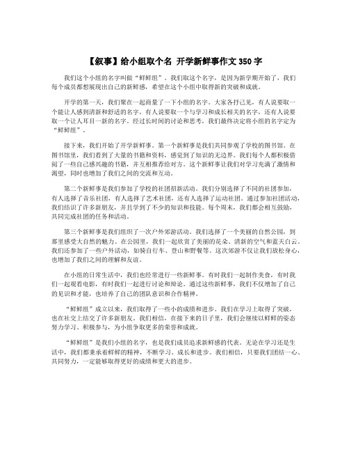 【叙事】给小组取个名 开学新鲜事作文350字