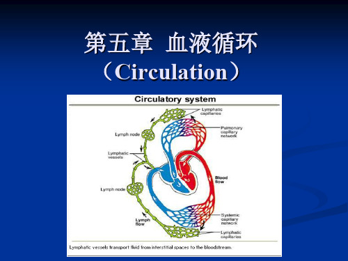 动物生理学血液循环PPT课件