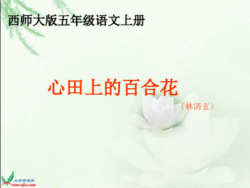 西师大版五年级语文上册《心田上的百合花》PPT教学演示PPT课件