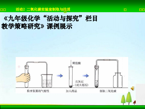 二氧化碳的实验室制取与性质PPT课件2(2份) 人教版