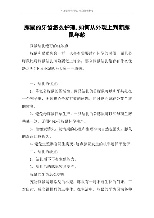 豚鼠的牙齿怎么护理,如何从外观上判断豚鼠年龄