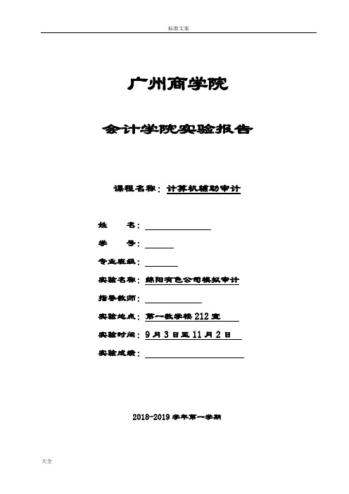 《计算机辅助审计》实验报告材料1