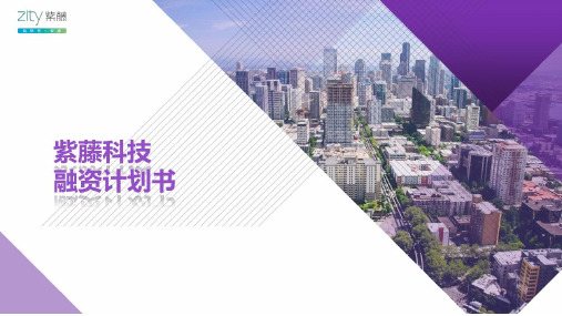 紫藤科技(融资计划书)