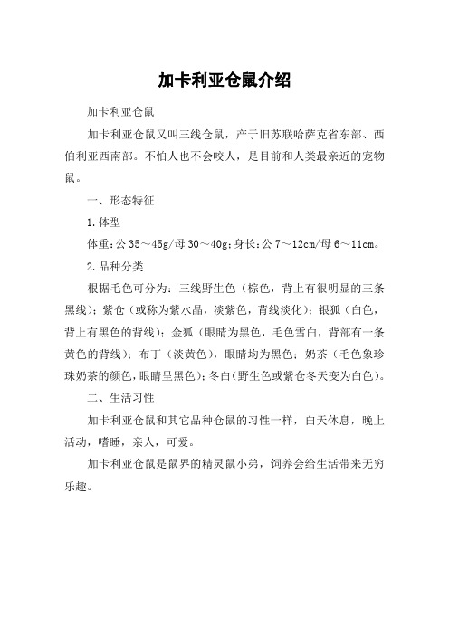 加卡利亚仓鼠介绍