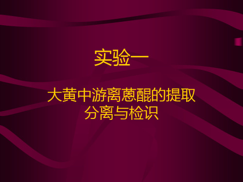 大黄中游离蒽醌的提取分离与检识