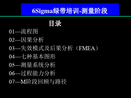 6西格玛 - M阶段绿带教材 共196页