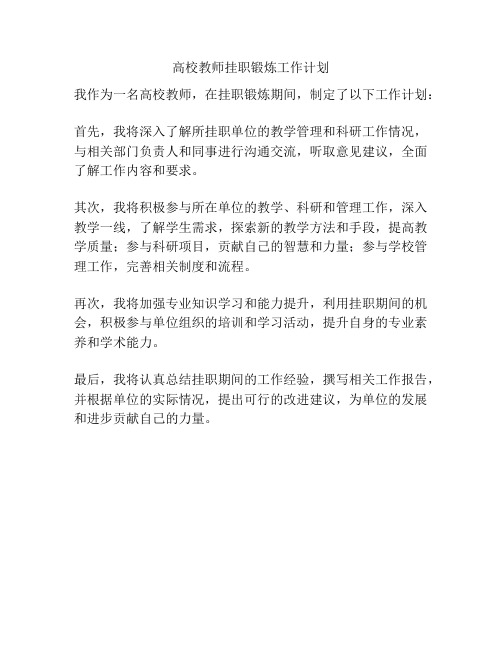 高校教师挂职锻炼工作计划